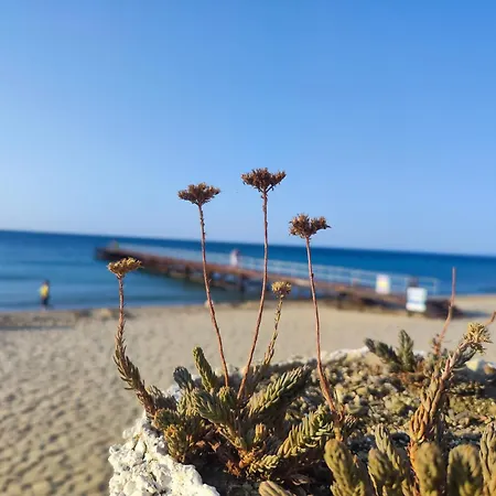 Umi ساني بيتش