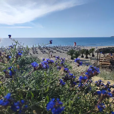 Umi ساني بيتش